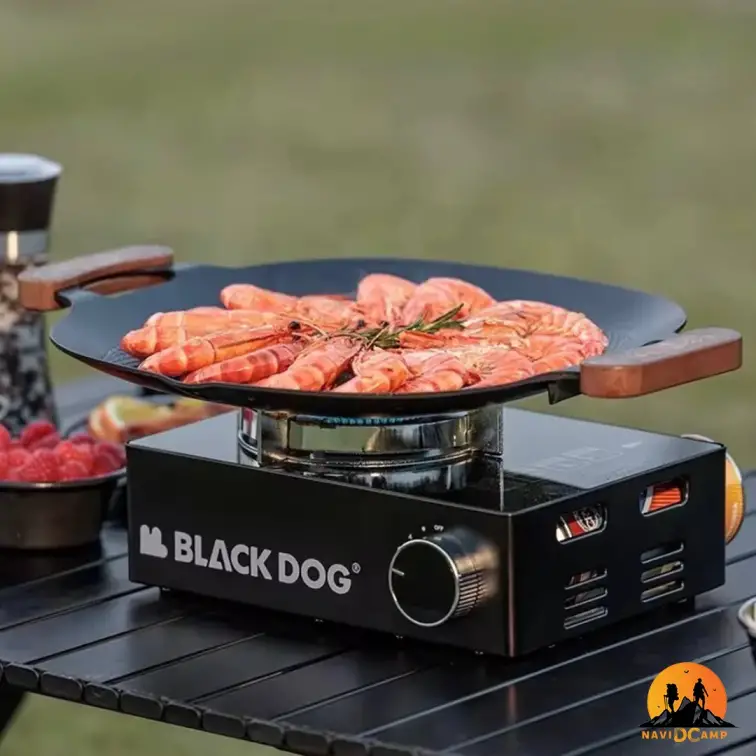 اجاق گاز بلک داگ BLACK DOG مدل CBD2300CW013