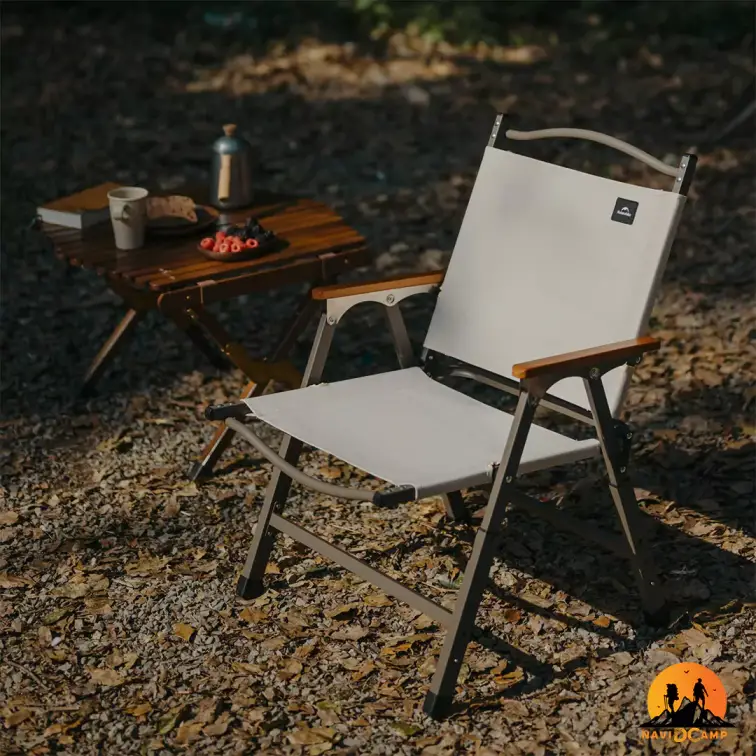 صندلی تاشو نیچرهایک مدل CNK2550JJ010