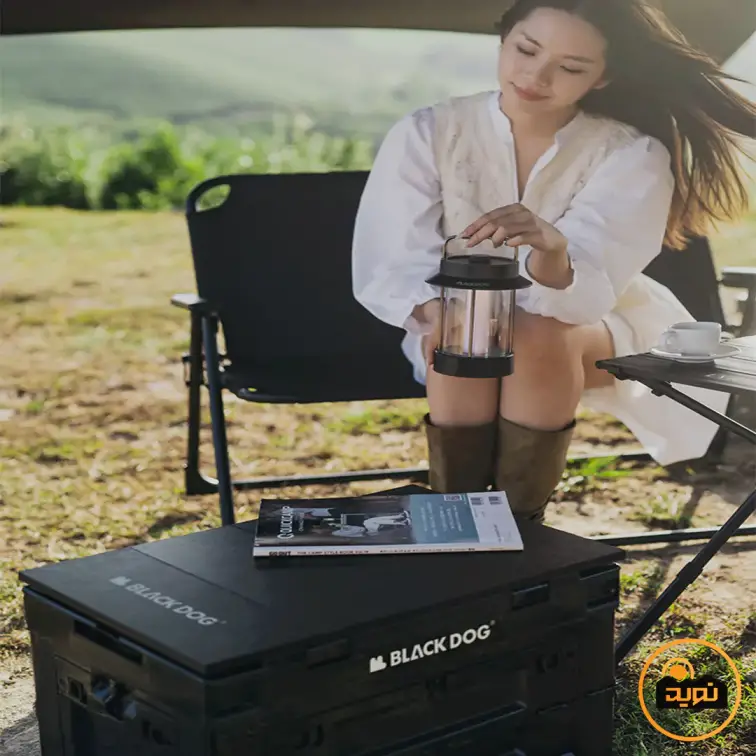 جعبه وسایل تاشو 50 لیتر بلک داگ مدل CBD2450XB014