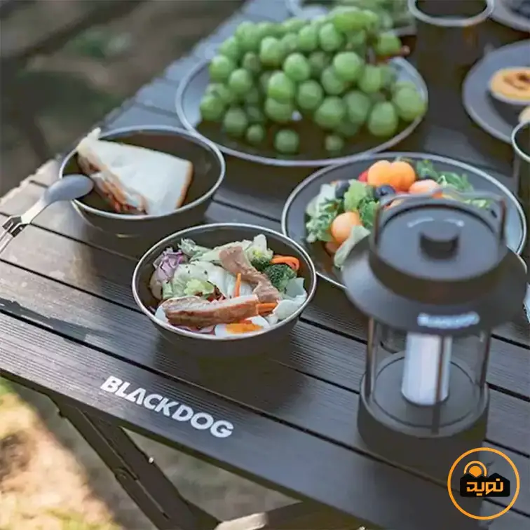 کاسه لعابی بلک داگ مدل CBD2450CF019