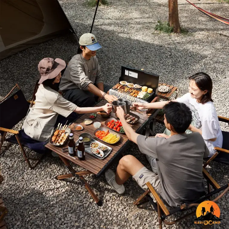 باربیکیو ذغالی نیچرهایک مدل CNK2300CJ010